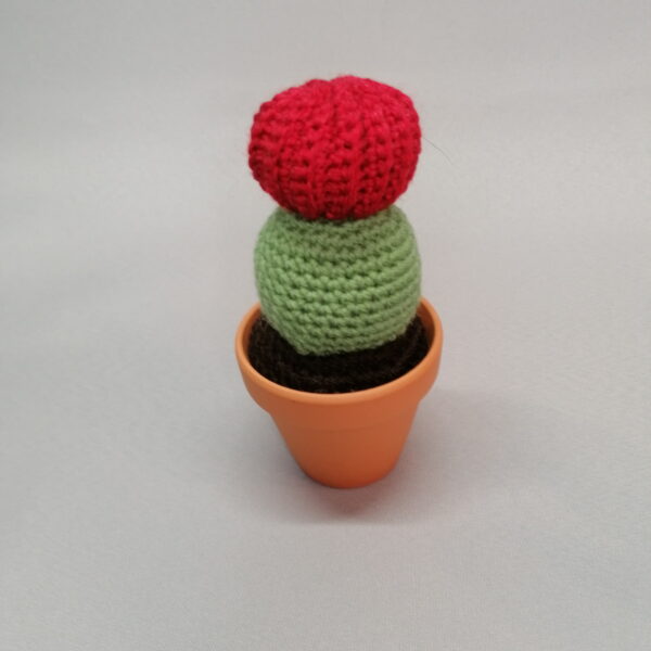 Cactus gehaakt bol rood groen handgemaakt